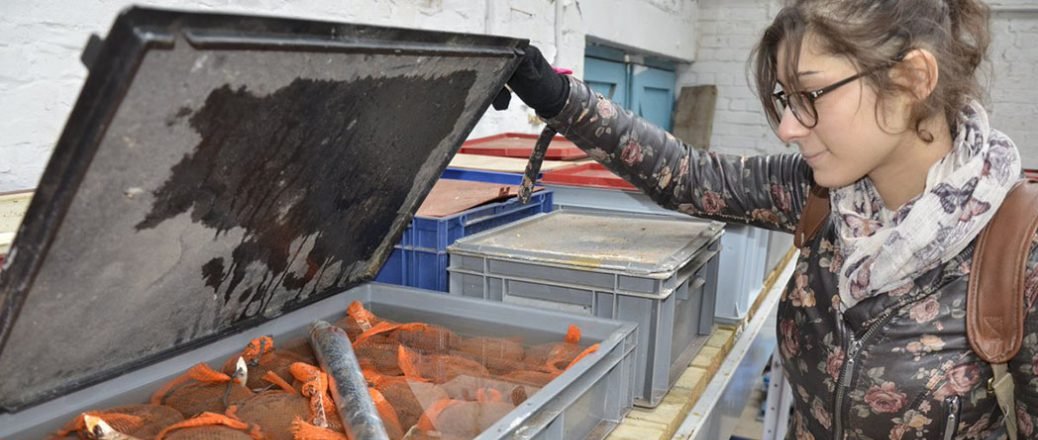 Interested in corrosion and conservation of the <a href="/MaryRoseMuseum/">The Mary Rose</a> cannonballs? Catch SEAHA student <a href="/HayleySimon1/">Hayley Simon Wallen</a> discussing in the #ConservationTogetherAtHome <a href="/ICONSci/">ICONHerSciGroup</a> webinar Wednesday 3 June 5pm  <a href="/UCLarchaeology/">UCL Institute of Archaeology</a> 
<a href="/DiamondLightSou/">Diamond Light Source</a>

Register for free here: ow.ly/Xj3e50zVlde
