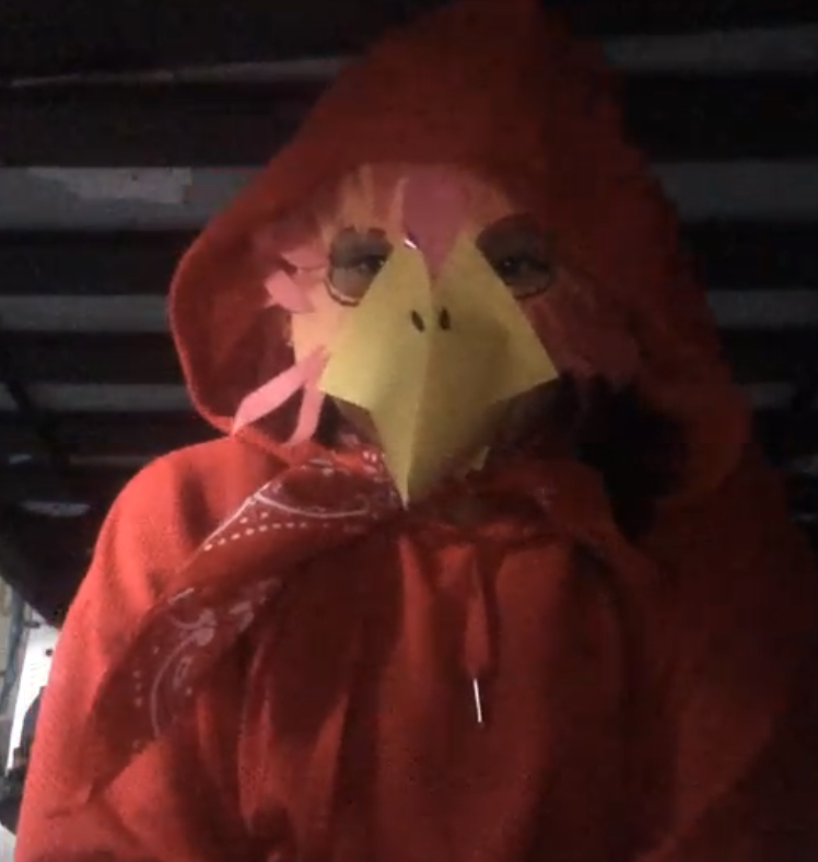 Still smiling thinking about our virtual cast party! We celebrated our hard work on #AladdinKids, shared memories, &amp; watched our video. "Iago" really went above and beyond &amp; attended in costume! 🤩❤️ Check out our video! vimeo.com/423217698 <a href="/Carlin_Springs/">Carlin Springs Elementary</a> <a href="/APSArts/">APS Arts Education</a> <a href="/apscspr/">Carlin Springs Elementary School</a>