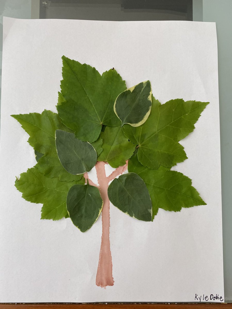 scalafifthgrade's tweet photo. Fabulous work, Kyle! 🌳👏🏼 #HappyHillendale #HillendaleArt https://t.co/WqH3euHWhn