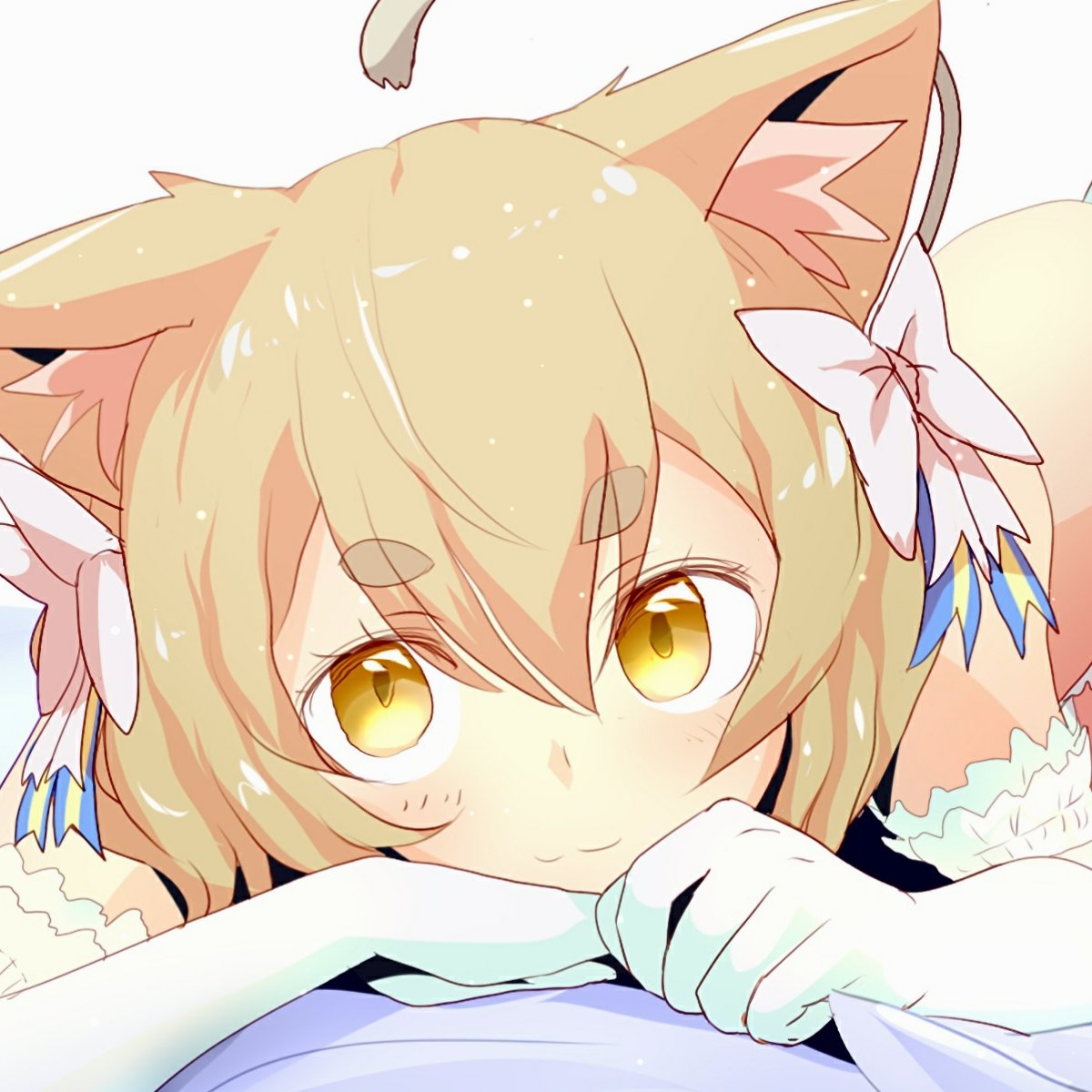 Trap the Cat 18