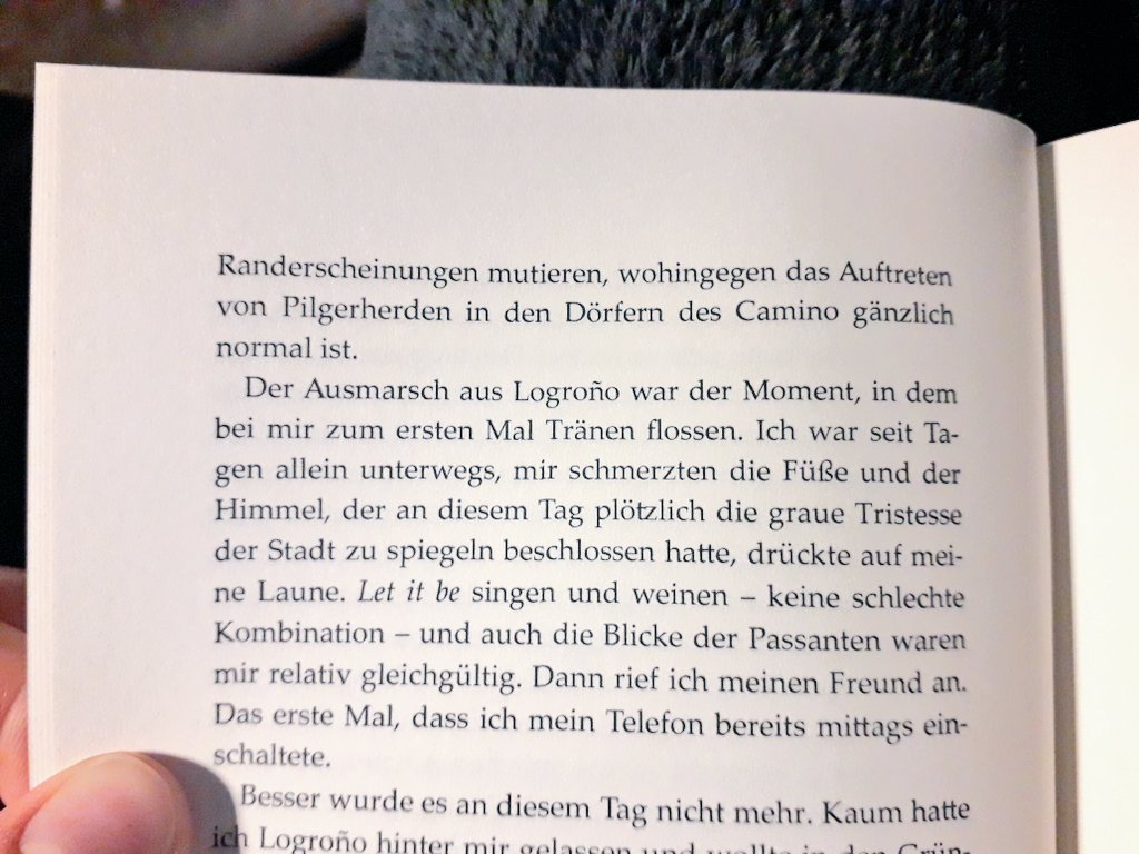 lesewahn's tweet photo. Eines meiner neuen #currentlyreadings 😎📖 und ich werde mich komplett in @ElyseodaSilva Schuhe begeben, um durch ihn und mit ihm zu reisen 🗺 ☀️ - ich bin gespannt! #paincakes https://t.co/ihaM0T1hIl