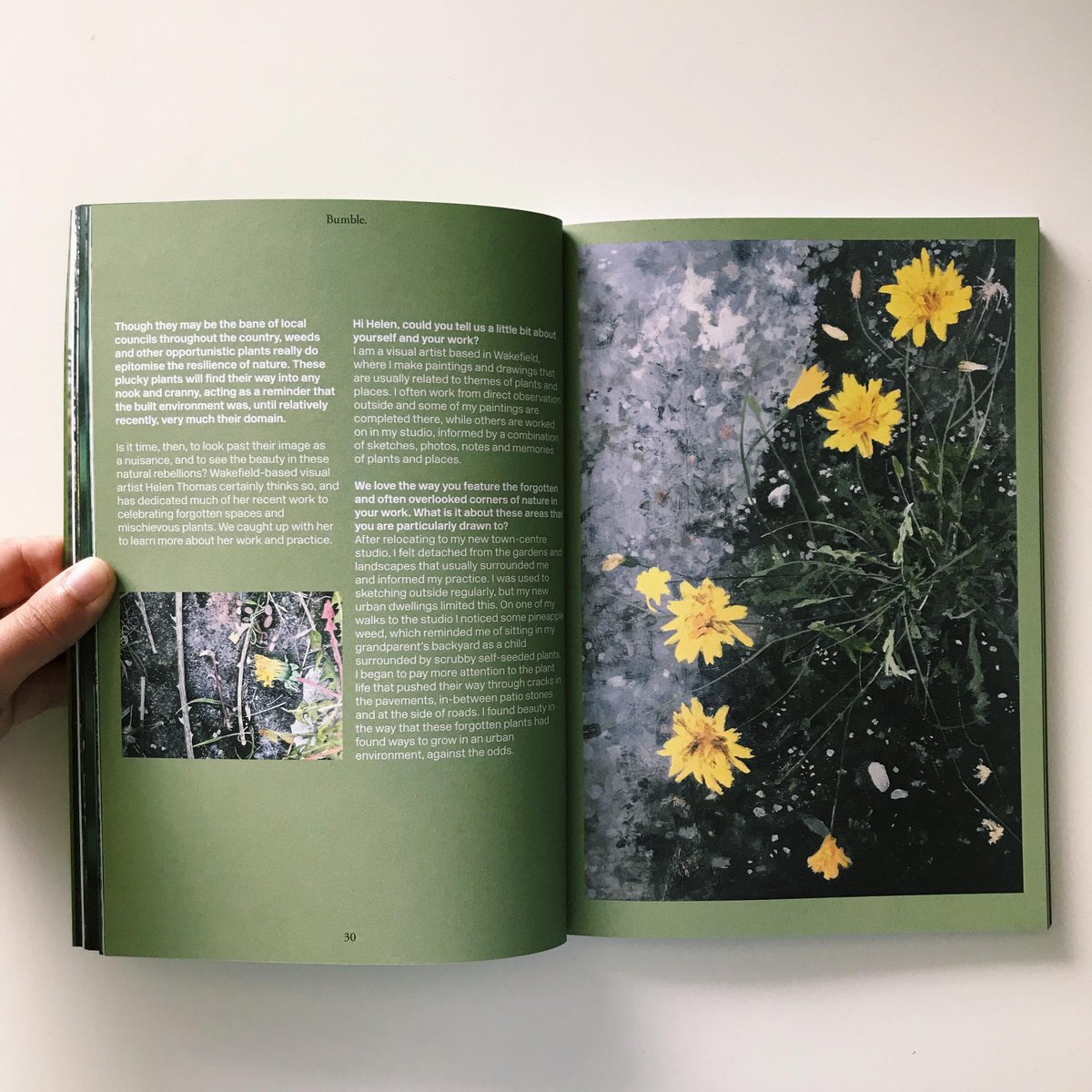 BumbleMagazine's tweet photo. Inside issue 4! 🌿💚 https://t.co/0DBWXvmTEN