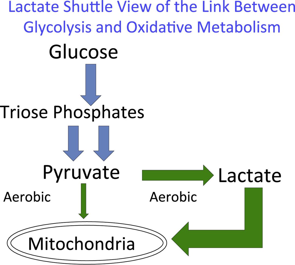 Science of Football tweet media