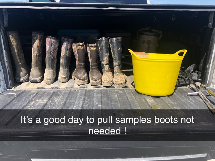 Liz Field tweet media