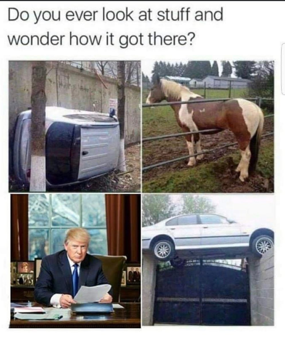 Things that make you go hmmmm!