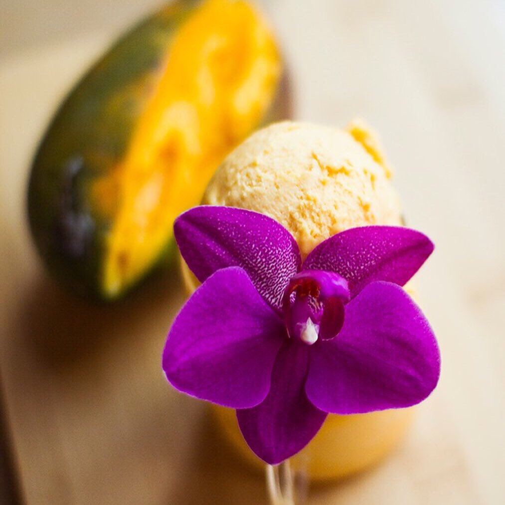 Magiayte's tweet photo. ¡Se abre la temporada de helado! 🍦❤️ ven a disfrutar de los mejores helados artesanales, sabores tradicionales, opciones veganas y sin azúcar 😋😊
Nuevos sabores todas las semanas 🌈🌺
#helado #tehelado #icecream #icedtea #icedlatte #tealicious #tealovers https://t.co/AOjyAvK83q
