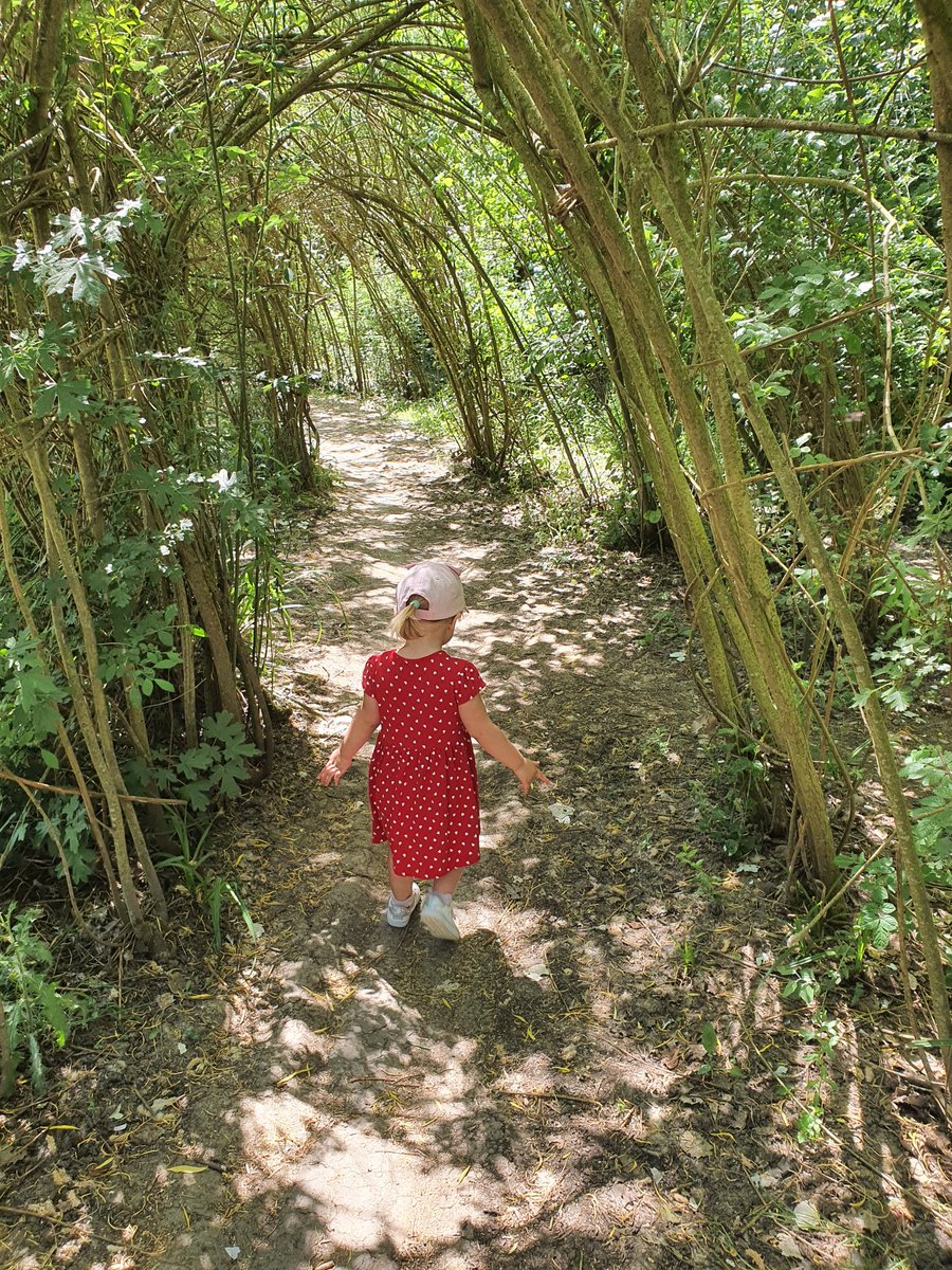 KTa5ker's tweet photo. So work has decided that they will monitor everyones physical activity through @Strava. 

#Familywalks are now being recorded with the 2year old setting the pace. https://t.co/gUsIWs7YfQ