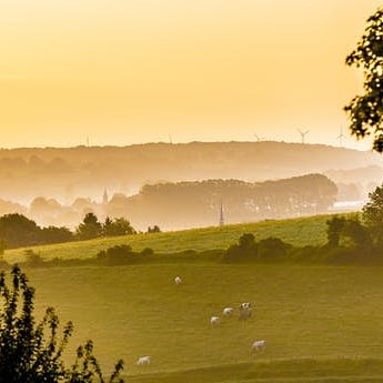 rosambouwman's tweet photo. #gulpen #zuidlimburg wat ben je mooi. Minivakantie #metfilter https://t.co/Rv6KQ0ybpz