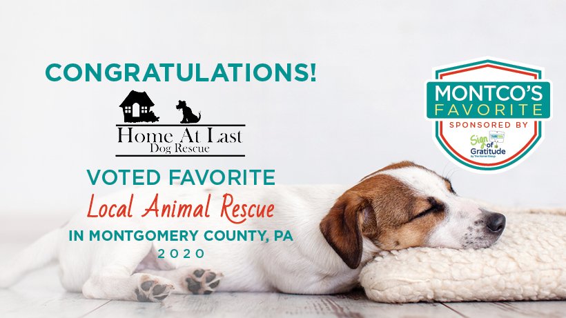 We're proud to announce @homeatlastdogsr as winners of "Montco's Favorite Animal Rescue" competition 👏🎊 🐈 CONGRATULATIONS ! 🐕 🎊 👏 Thank you to all who participated and our contest sponsor, #SignOfGratitude.  #MontcosFavorite  #GetToKnowMontco #PoweredByNavitas <a href="/NavitasMktg/">Navitas Marketing</a>