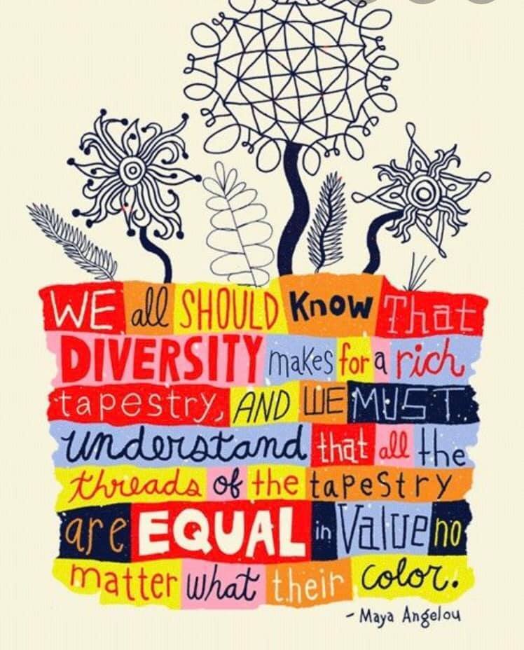 Camp Mohawk tweet media