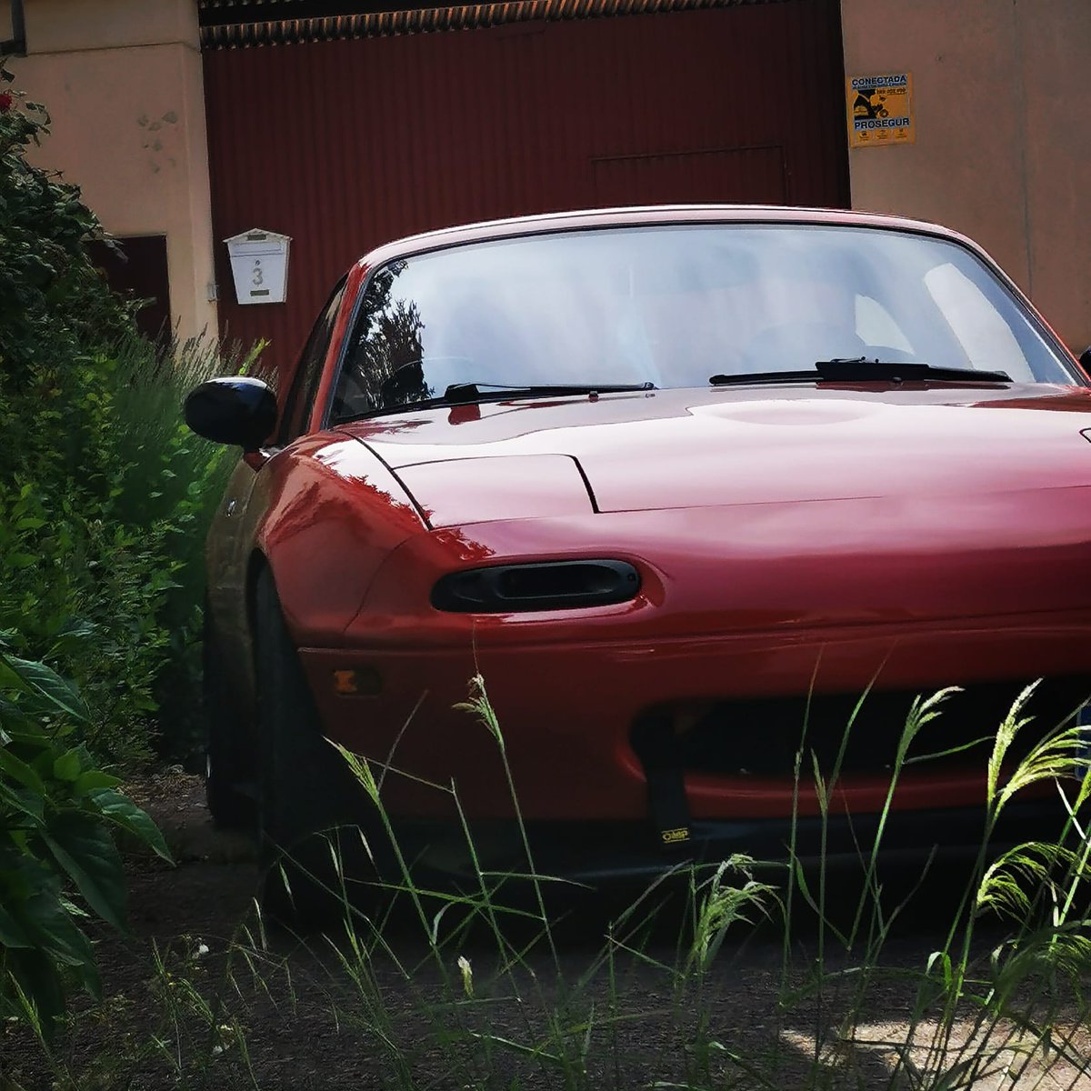 ImXice's tweet photo. Mazda Miata '90
Mayo '20
#MiataIsAlwaisTheAnswer #LongLifeTheRoadster #jinbaittai #JDM #ロードスター#miata #mx5 #topmiata #miatagang #miatacrew #miatabrigade #eunos #mazda #mazdamiata #roadster #mazdaspeed #miatagram #miataclub #mazdanation #trackmiata #miatalife #zoomzoom https://t.co/k7Cuswoky1