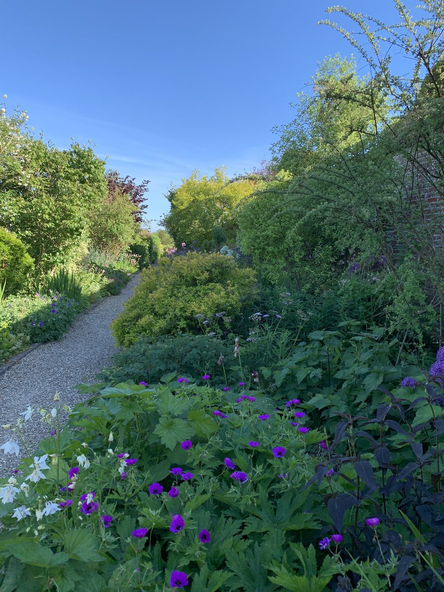 Thrilled to announce that tomorrow our gardens open once again. Initially welcoming our members and their guests (please join us!), we’re firing up the woodfired pizza oven for picnics, and have masses of stunning plants propagated in our nursery for sale. So exciting!