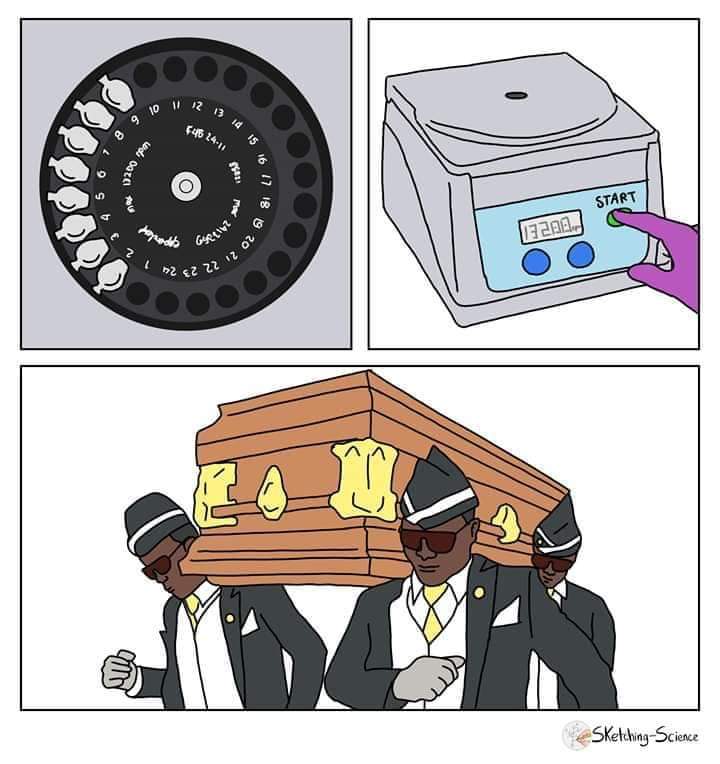 Rosa Porcel 🌿🌺 tweet media