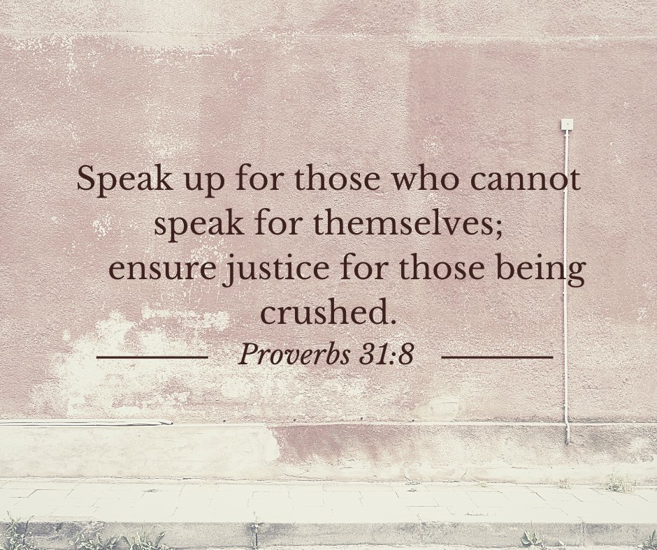 stevenscreek (@stevenscreek) on Twitter photo 