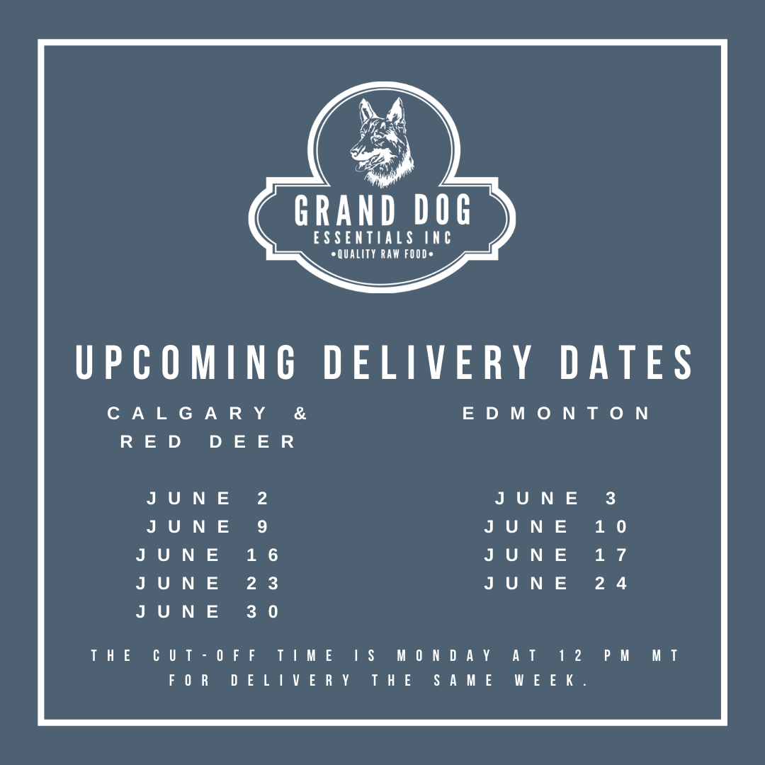 GrandDogInc's tweet photo. #rawdogfood delivered to your door! We deliver weekly to the #yyc and #yeg areas. Click here to learn more about our deliveries: https://t.co/BwQKWghqi9
#granddograw #granddograwpack #yeg #yyc #edmonton #calgary #yegdelivery #yycdelivery #calgarydelivery #betterthanthebag https://t.co/HfPyb5Rj3r