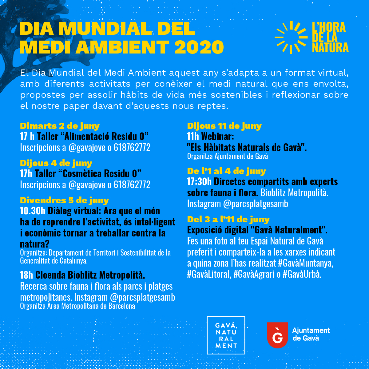 📣 Divendres 5 de juny es commemora el #diamundialdelmediambient🌏
💚 A #Gavà ens hi afegim amb una programació virtual que ens permetrà conèixer el medi natural que ens envolta, adoptar hàbits més sostenibles i reflexionar sobre què podem fer davant dels nous reptes 👇