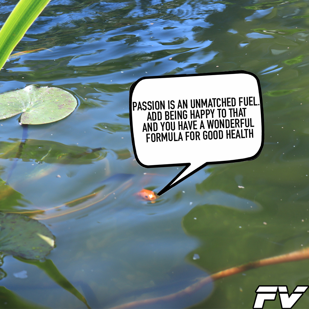 FishVisions's tweet image. #fish #fishes #fishing #fishtank #aquarium #pond #ponds #backyardpond