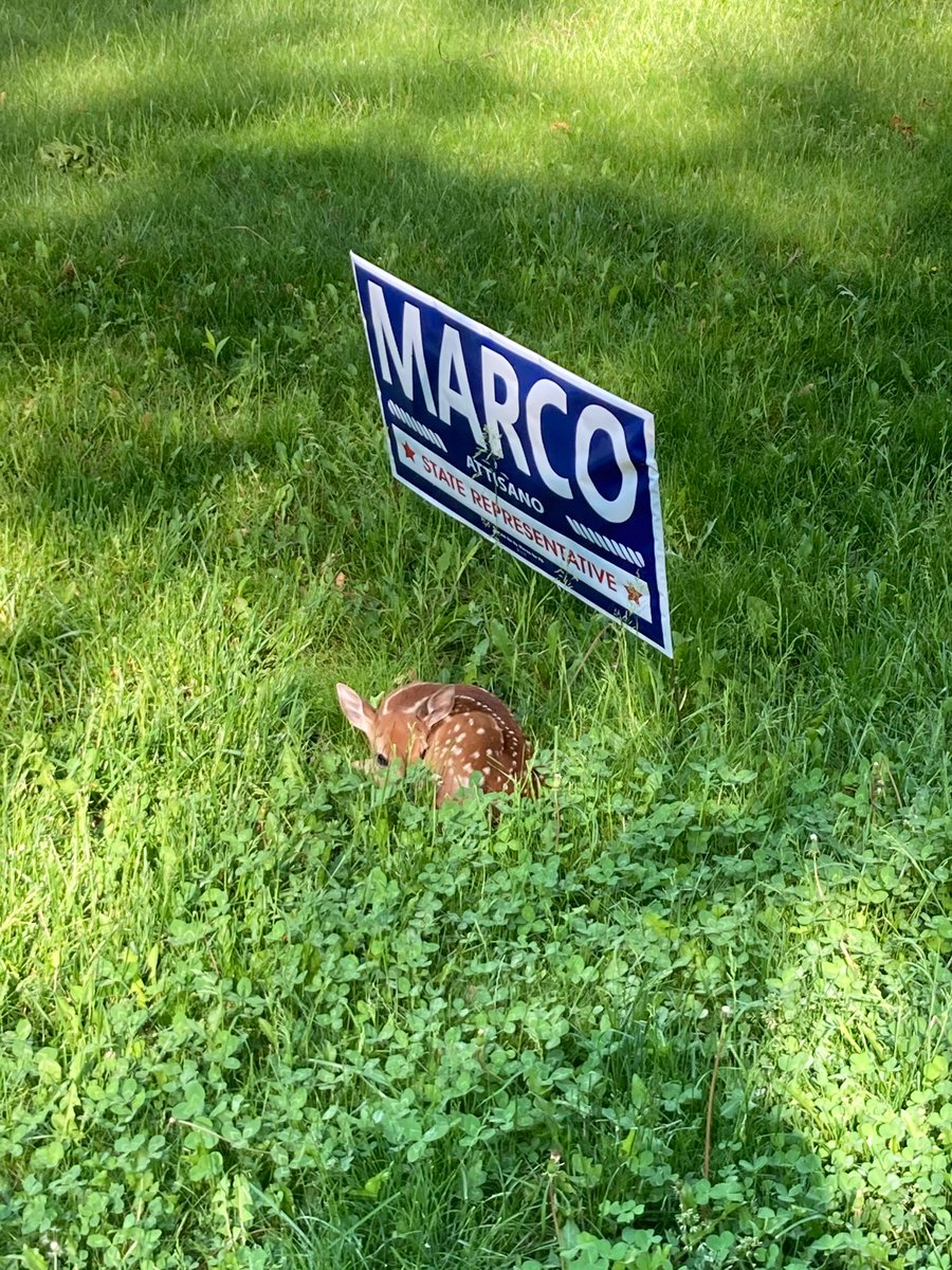 MarcoforPA's tweet image. Marco was endorsed by Humane PA a few weeks ago. Word must travel fast among wildlife living in the district.

Thanks to the supporter who sent us this pic.