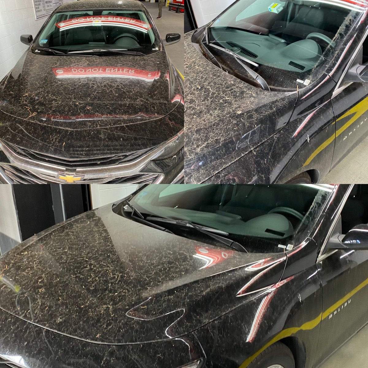 TangMonkey's tweet photo. @Hertz how my car was brought out in NYC. The expectation right now is extra clean, not completely filthy. https://t.co/0cJuI6LYNr