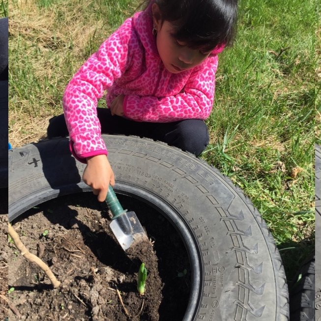 MsKuseler's tweet photo. A little Dino taking care of the environment! π±π¦#ABLearingAtHome #FMPSDLearningAtHome #FMPSDStudentLearning
@FMPSD @FMPSDEarlyLearn @DrClarkSchool @GreenSceneFMPSD https://t.co/fwzMneK4WQ