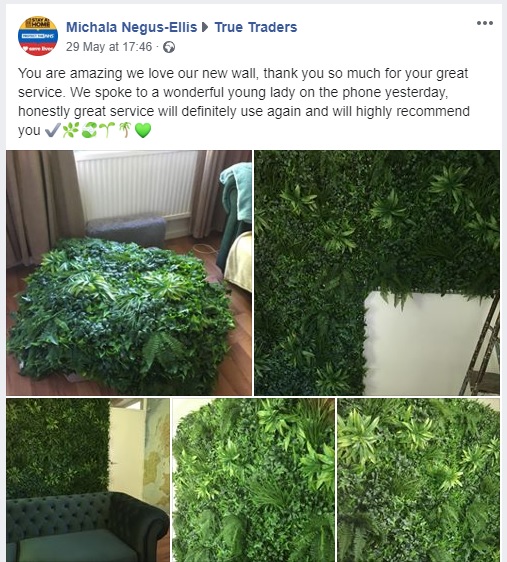TrueTraders's tweet photo. We get always happy when our customers are happy too :)

#TrueTraders #ArtificialHedges #happycustomers https://t.co/JE0vMHNXd8