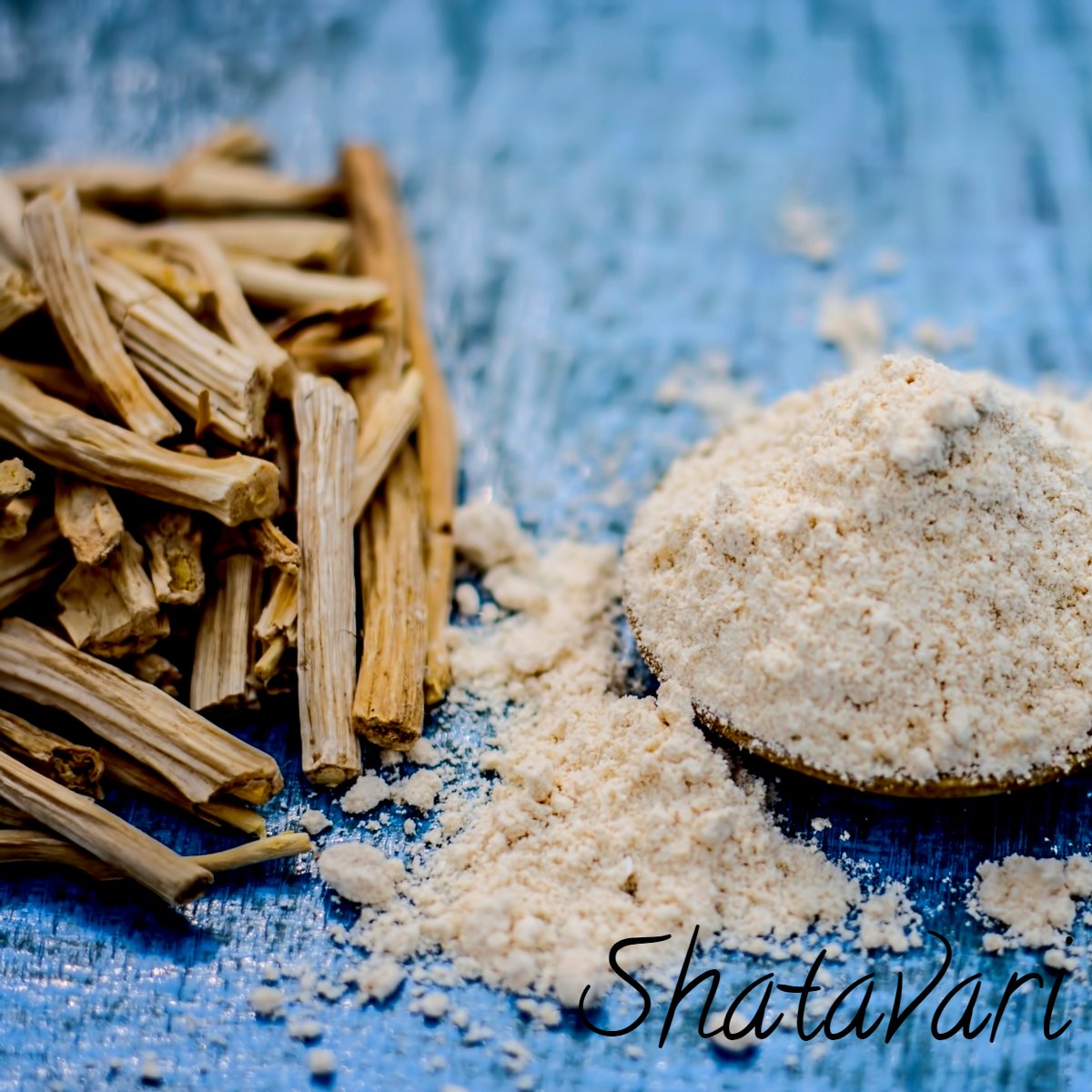 IntelligenceTre's tweet image. A type of asparagus, shatavari 🍃 is an important plant in Ayurveda and has been used for thousands of years. It is one of the most powerful rejuvenating herbs in Ayurveda. 

#intelligencetree #ayurveda #shatavari #healthandwellness #herbalremedies