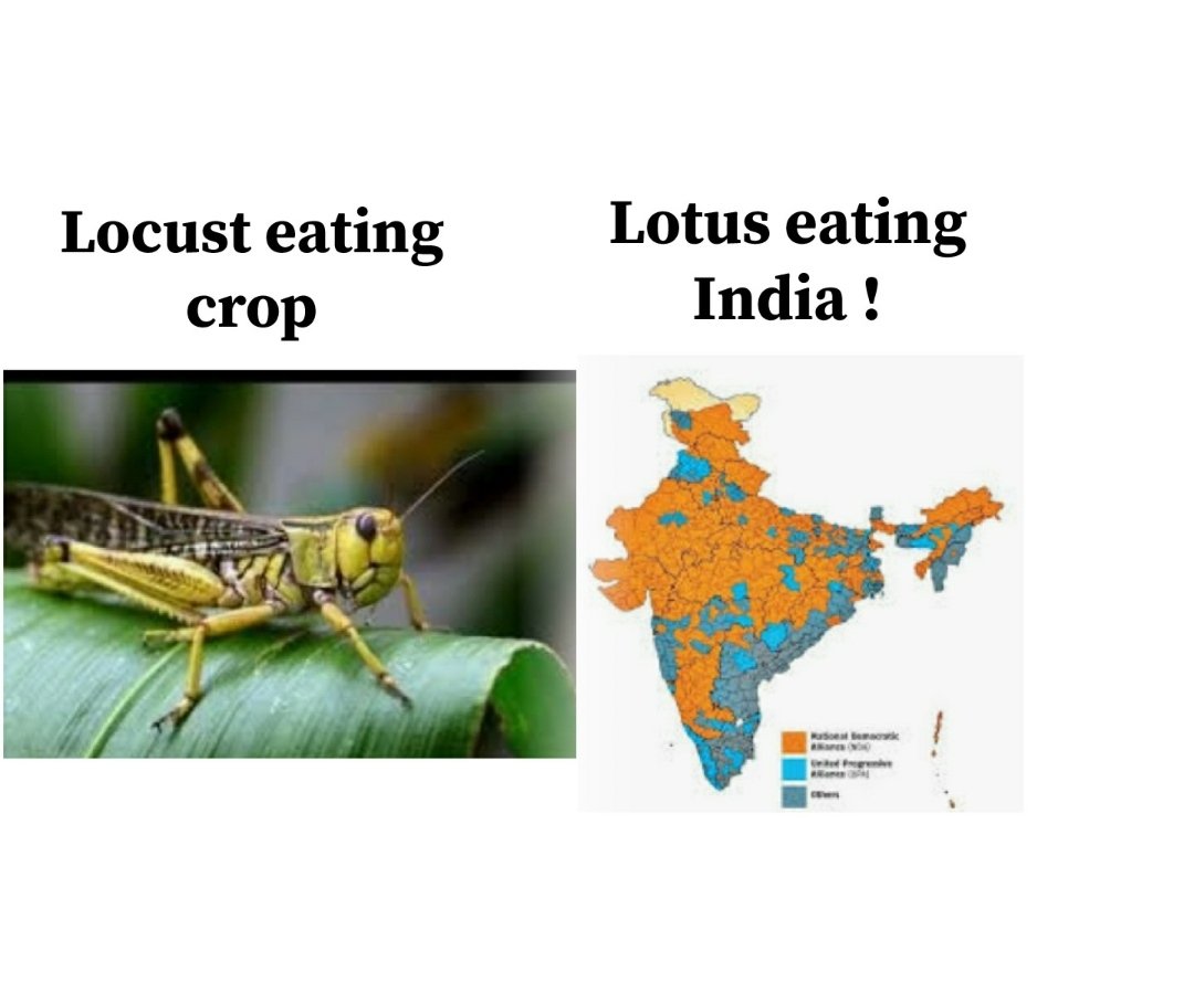 anas_patel_ad's tweet photo. What is the difference between 'Locust Attack' and 'Lotus Attack' ?
@abhisar_sharma
@ravishndtv
@AjazkhanActor
#StepDownModi
#ModijiDontMakeUsFoolAgain
#lotusattack
#BJPwithTerrorists https://t.co/auXg1Zq1Er