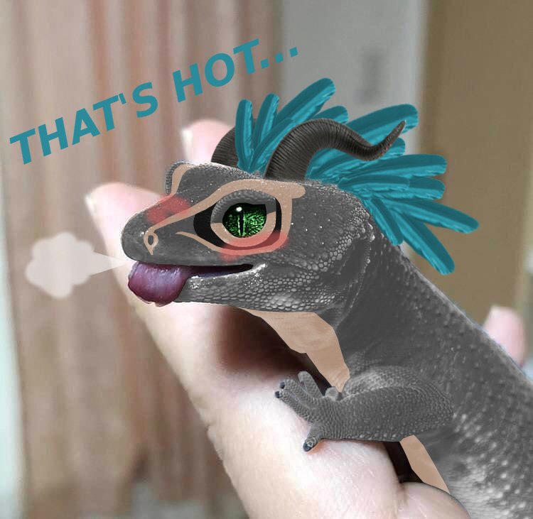 ScalesGray's tweet photo. @DukeNauticus https://t.co/fwkDkFjtDh