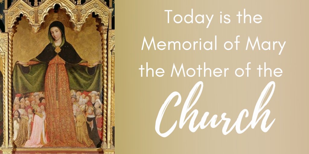 CathEdService's tweet photo. Mary is our loving Mother, she cares for us, protects us and helps us get close to her son #MaryMotherOfTheChurch https://t.co/Ff0eX5MgAU