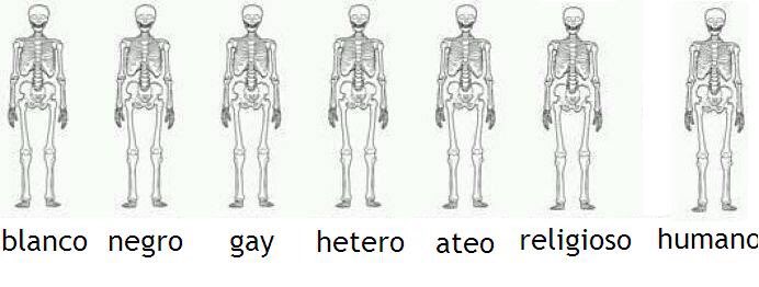 GustavoBolivar's tweet photo. #RacismoEs creerse superior cuando los esqueletos de todos, blancos y negros, ricos y pobres, hombres y mujeres, gays o heteros, indígenas o arios, son idénticos.
Cuando la sangre de todos es roja.
Cuando compartimos el mismo sol.
Cuando todos cagamos.
Cuando todos morimos... https://t.co/yF69FZhUJy