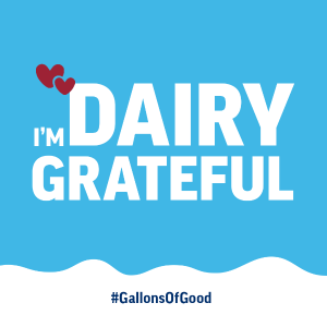 foxdairy's tweet photo. June #Dairy Month! #milk #undeniablydairy #dfa https://t.co/TXmehJAp4l