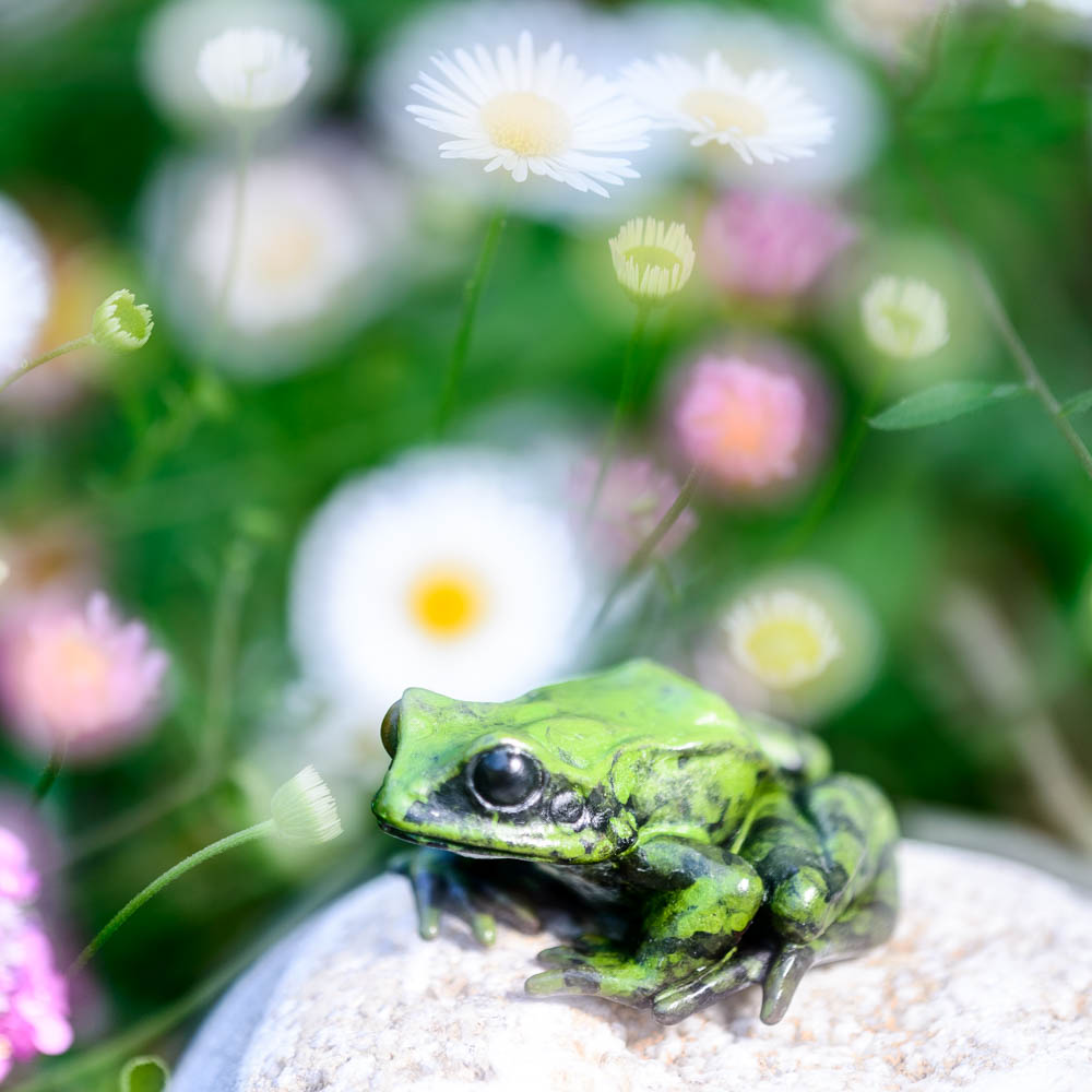 GeckomanArt's tweet photo. Lovely seeing what another artist does with your work.
Images by Andy Small https://t.co/S98QARqS44
#MeetMyFellowExhibitor @CraftInFocus
#frog #frogsculpture #bronzefrog #wildlifeart #wildlifesculpture #floralphotography #photoart #macrophoto #naturephotography #geckoman https://t.co/Yaf5RSNfpQ