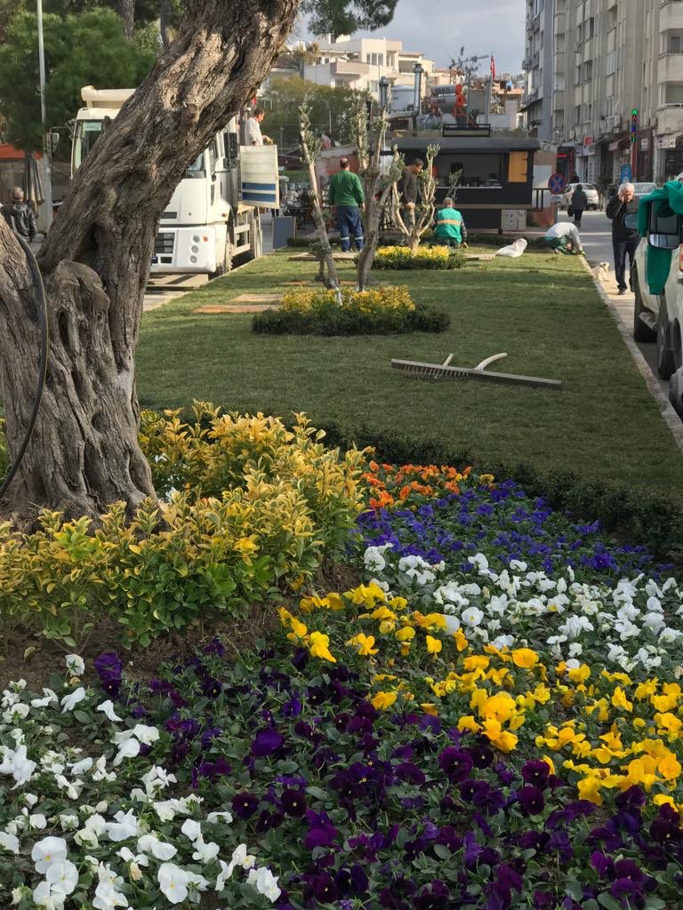 Her Geçen Gün Kentimize Yeşil Alan Kazandırıyoruz!
Kemal Arıkan Caddesi’nde ekiplerimiz çalışmalarını hız kesmeden sürdürüyor. Kentimize yeşil alanlar kazandırmak için plan ve iş programı dahilinde çalışmalarımıza devam edeceğiz.