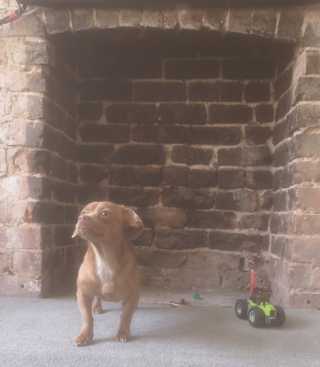 goboxcases's tweet photo. @VodafoneUK Hot dog's done https://t.co/8P00JxyIJ4