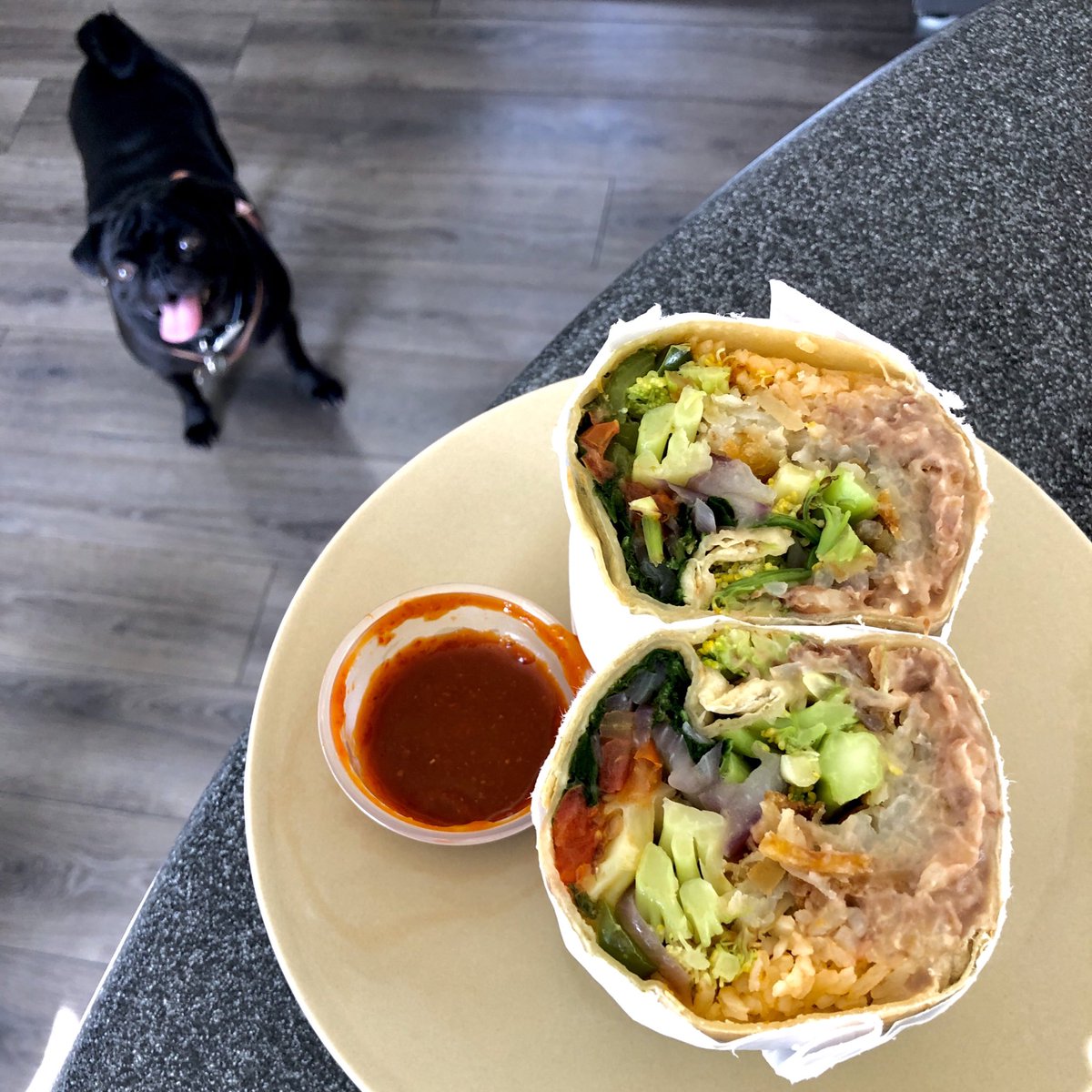 Starting the day off right <a href="/TeamBurritoTM/">Team Burrito</a> <a href="/pizzathepug/">pizza</a> 🥦🥑🍅🥕🧅🥔🌯