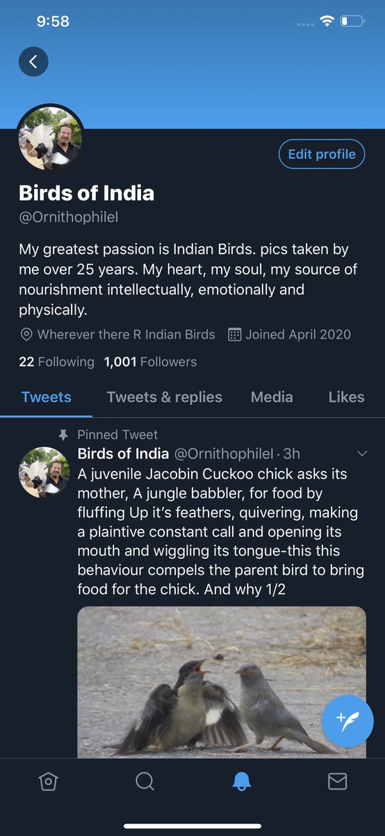 In a short time of just over a month we have hit a community of over 1000 - thank you all for the encouragement and love. I hope to keep bringing you more great images and hope you keep liking them ... this is just the beginning ... 🤗🤗 1001 hugs