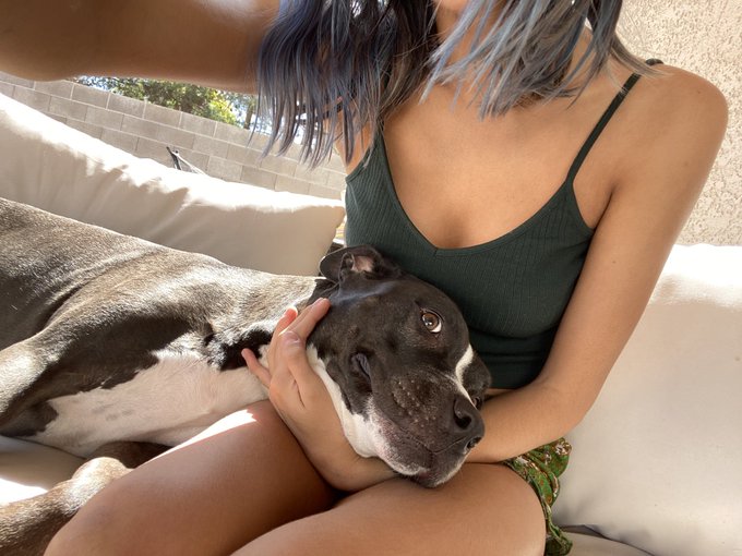 opal is camera shy but please enjoy this sun ham https://t.co/fQSf7rvPjO