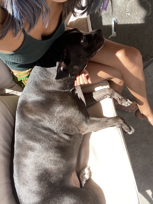 opal is camera shy but please enjoy this sun ham https://t.co/fQSf7rvPjO