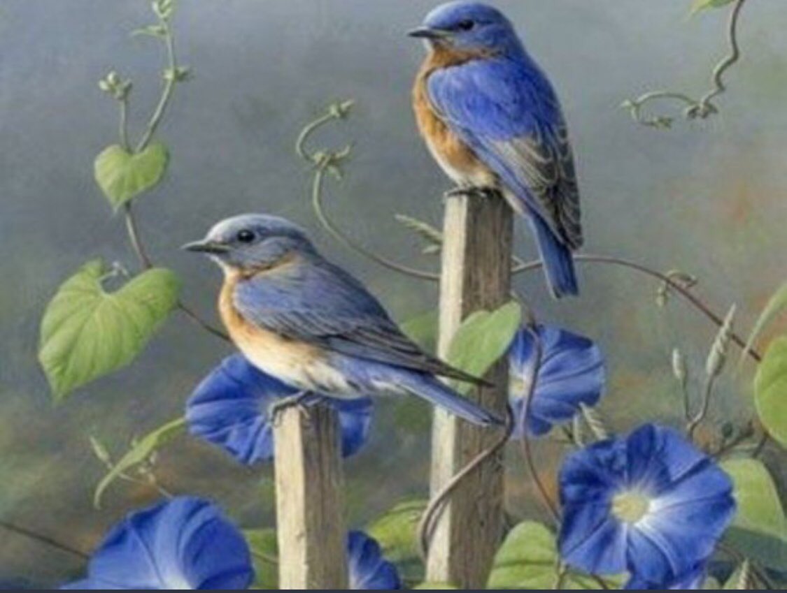 leylasultan__'s tweet photo. 🍃🌸Huzurlu sağlıklı Akşamlar 🌸🍃 https://t.co/iDkNc72EPF