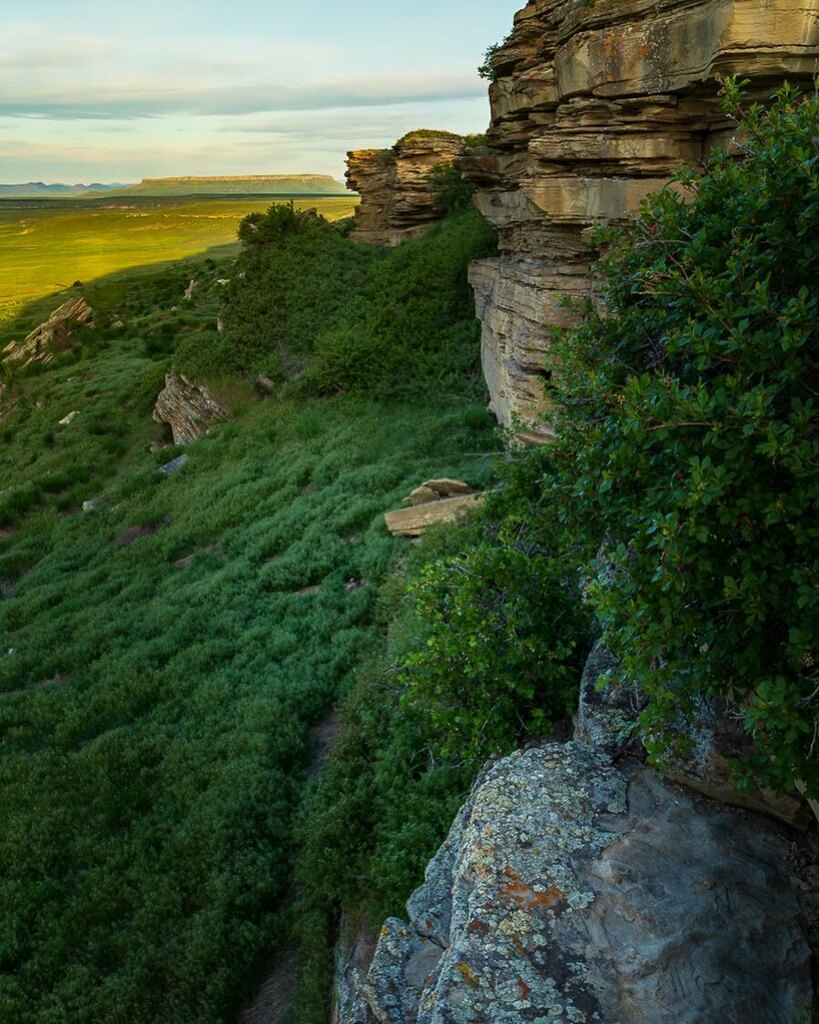MontanaImgs's tweet photo. First Peoples Buffalo Jump State Park, Montana  #montanalandscapephotography #montanamoment #firstpeoplesbuffalojump #centralmontana #lastbestplace #bigskymontana #stateparks https://t.co/W6BdqhQYXX https://t.co/k9YrRfUvhn
