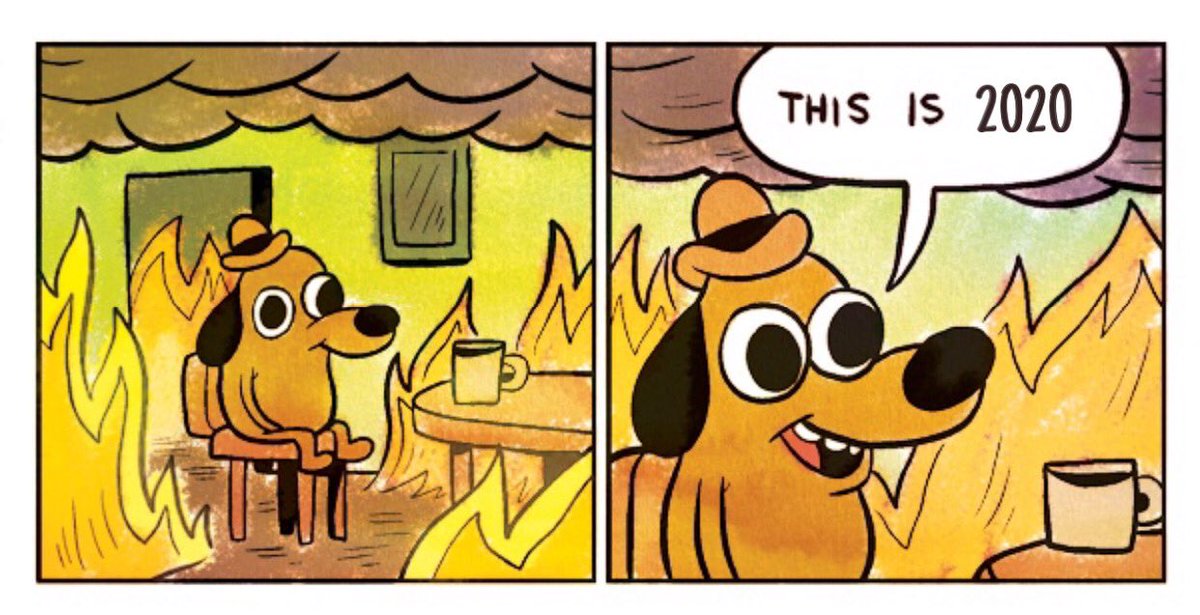 LauraMangifesta's tweet photo. Actualicé el meme. Ahora sí. This is 2020. https://t.co/zX0DbDXg6s