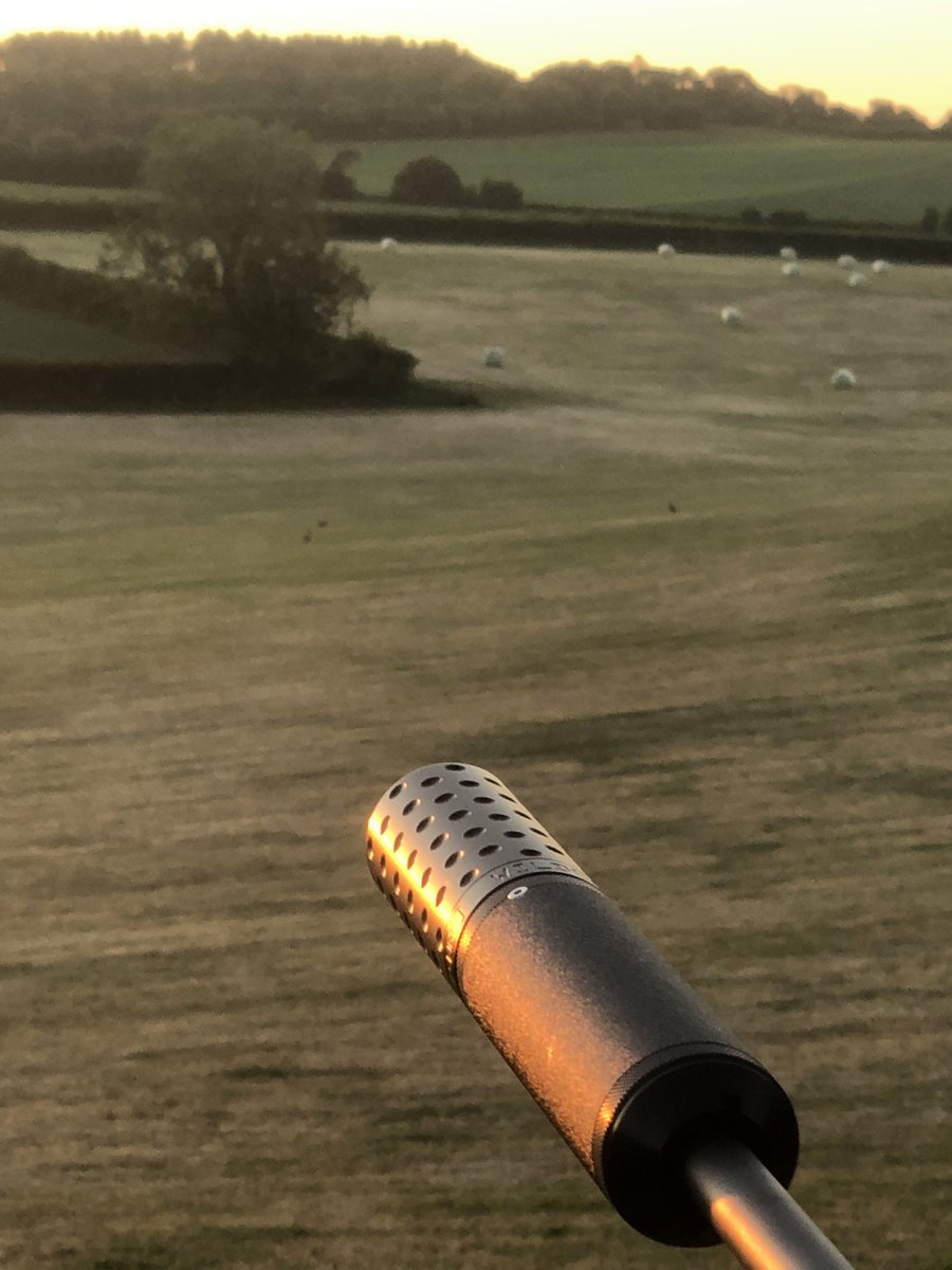 andywiggs007's tweet photo. Lovely evening to be out last night https://t.co/sqWw23F4ef