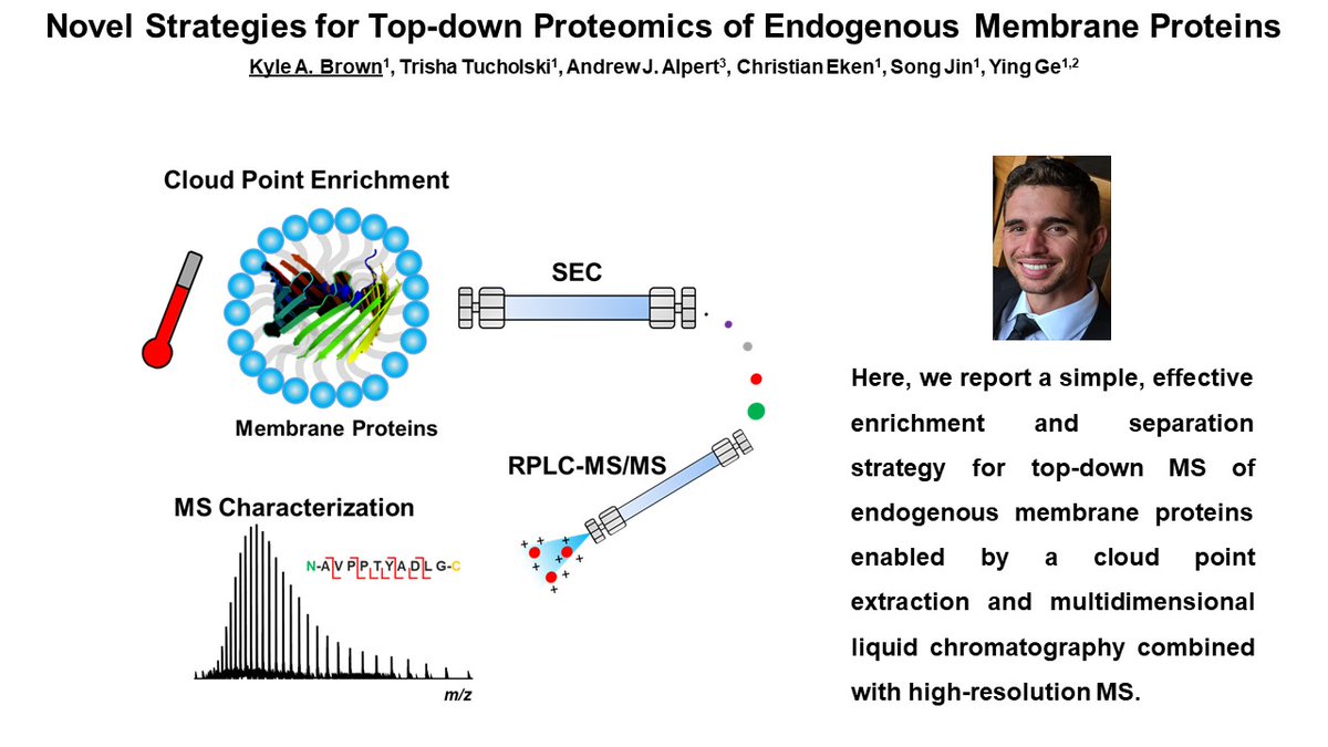 Kyle's poster (MP 496) describes a novel strategy for top-down MS of endogenous membrane proteins. Also, be sure to watch his talk at the top-down workshop tomorrow titled 'Characterization vs. Identification and How it Applies to Top-down Mass Spectrometry'! #ASMS2020