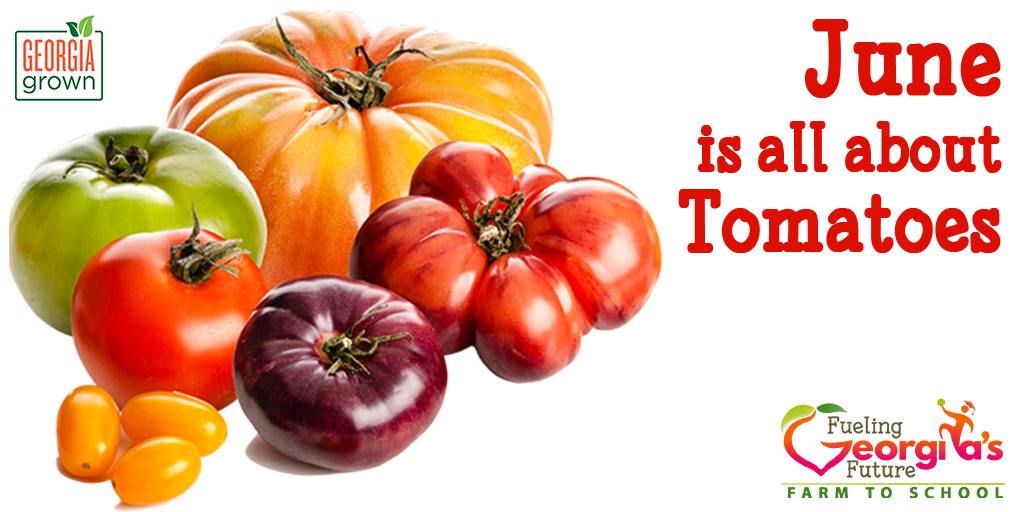 GaDOENutrition's tweet photo. The Harvest of the Month (HOTM) featured item for June is #Tomatoes! Check more resources &amp; ideas to celebrate the #HarvestoftheMonth with food-based learning opportunities by visiting https://t.co/bVx92MY1gt #FuelingGA #GeorgiaGrown https://t.co/d0PBpbj6nw