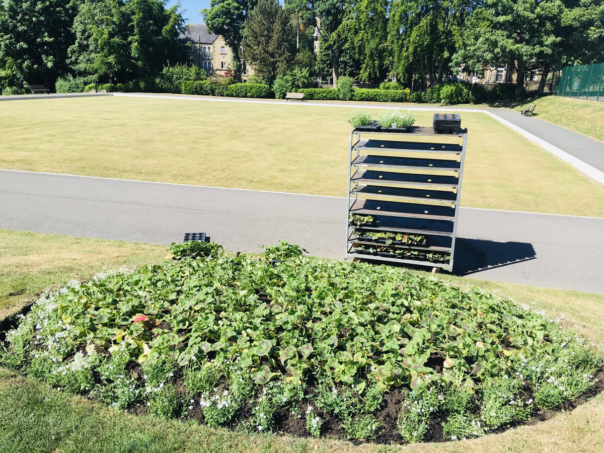 Hooray, it’s summer bedding time 😀 ⁦<a href="/KirkleesCouncil/">Kirklees Council</a>⁩