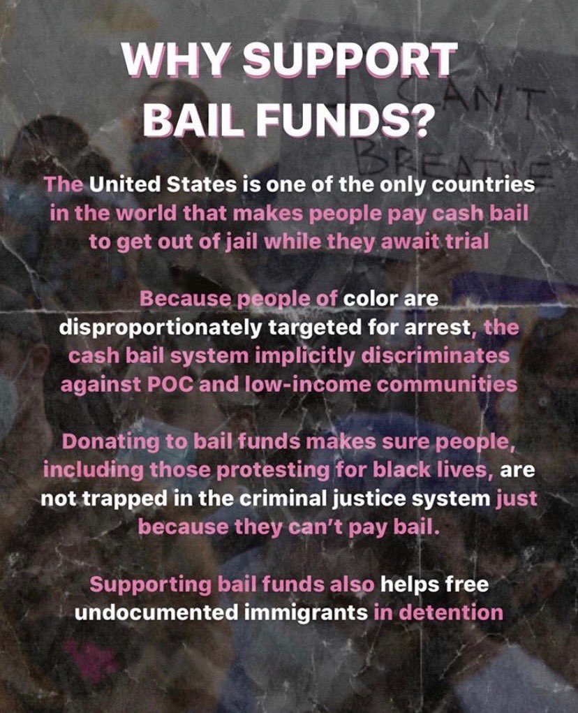 Pitt Tri Delta tweet media