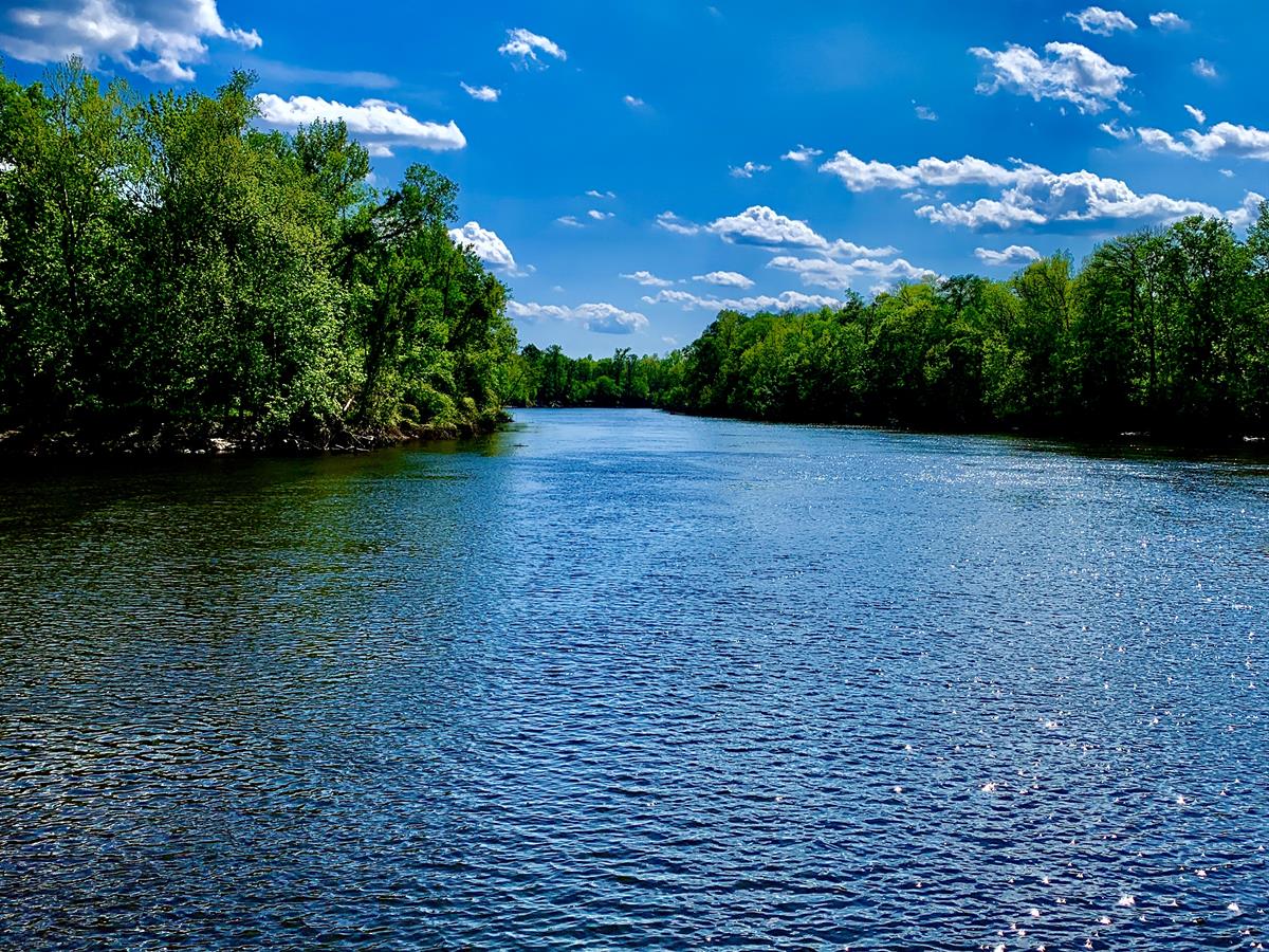 LANDFLIP's tweet photo. The Zibelin Tract is one of the largest, unencumbered, sportsman properties in NC. It consists of 2,646 +/- acres with 5 miles of frontage on the Cape Fear River. Offered by Melvin Ezzell, w/ Advance Land and Timber. Learn more on the #LANDFLIP BLOG. https://t.co/Ubx49UtMOw #land https://t.co/I0mgJIvWbW