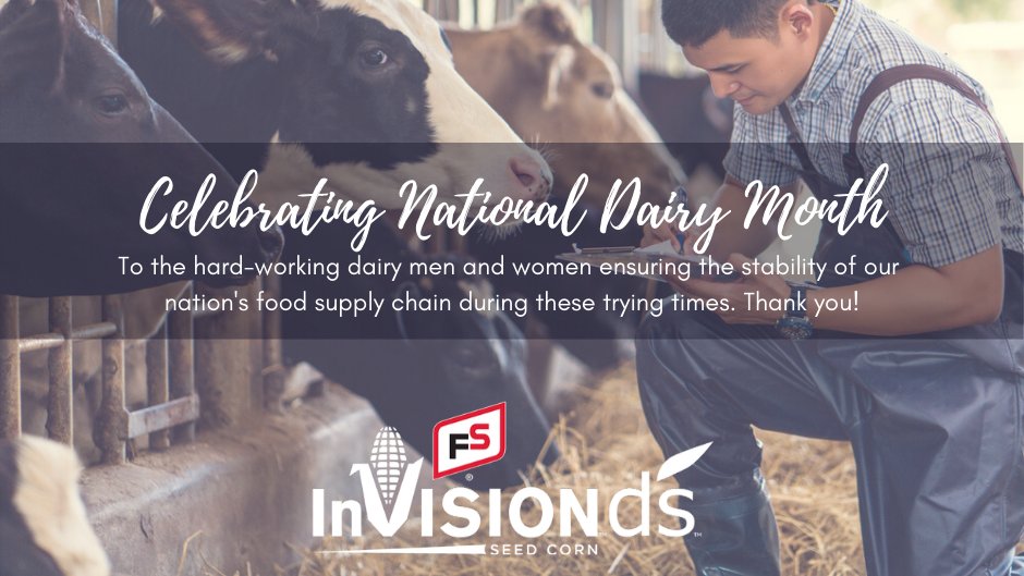 InVISION_HiSOY's tweet photo. June is #NationalDairyMonth!  We are grateful for our #essential Dairy Farmers! 🐄🥛  #FSInVISIONDairySelect https://t.co/DPNyZWMoan