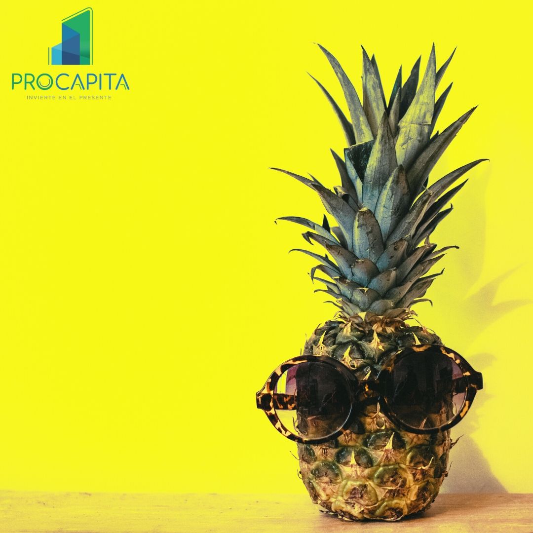 ProCapitaMX's tweet image. Hola Junio!

#Fintech #FintechMX #Inversiones #Invertir #Rendimientos