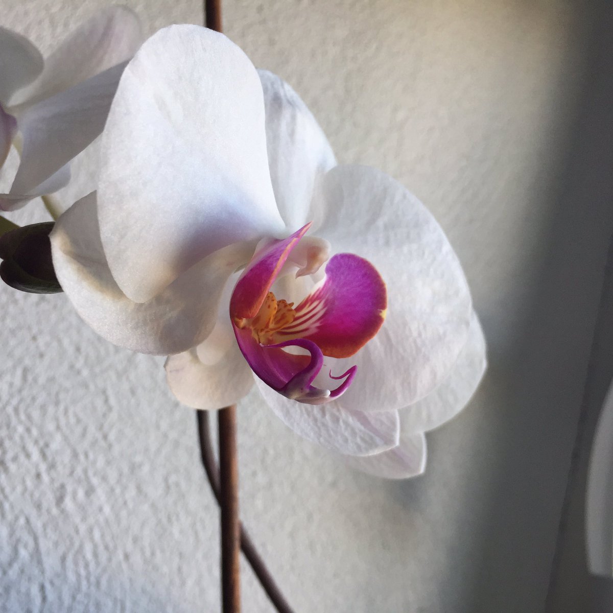 ReclayGroup's tweet image. #PhotosOfMyLife Day 7/7. Jeden Tag ein Foto. Eine Woche lang. Keine Menschen, keine Erklärungen. Jeden Tag eine Einladung, sich zu beteiligen. Danke an @bvsenews Hello @geTonInitiative